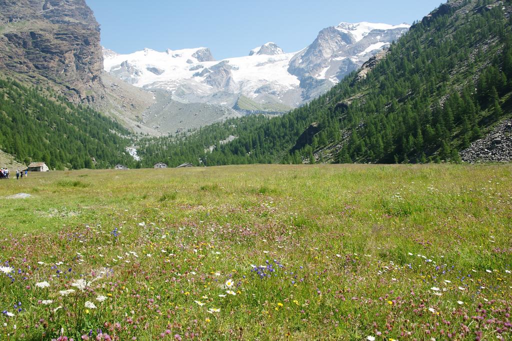 Hotel Le Petit Abri Champoluc Eksteriør bilde