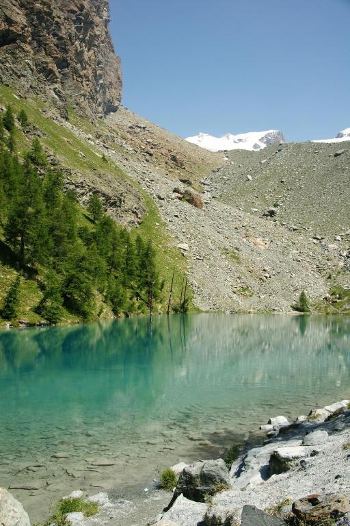 Hotel Le Petit Abri Champoluc Eksteriør bilde