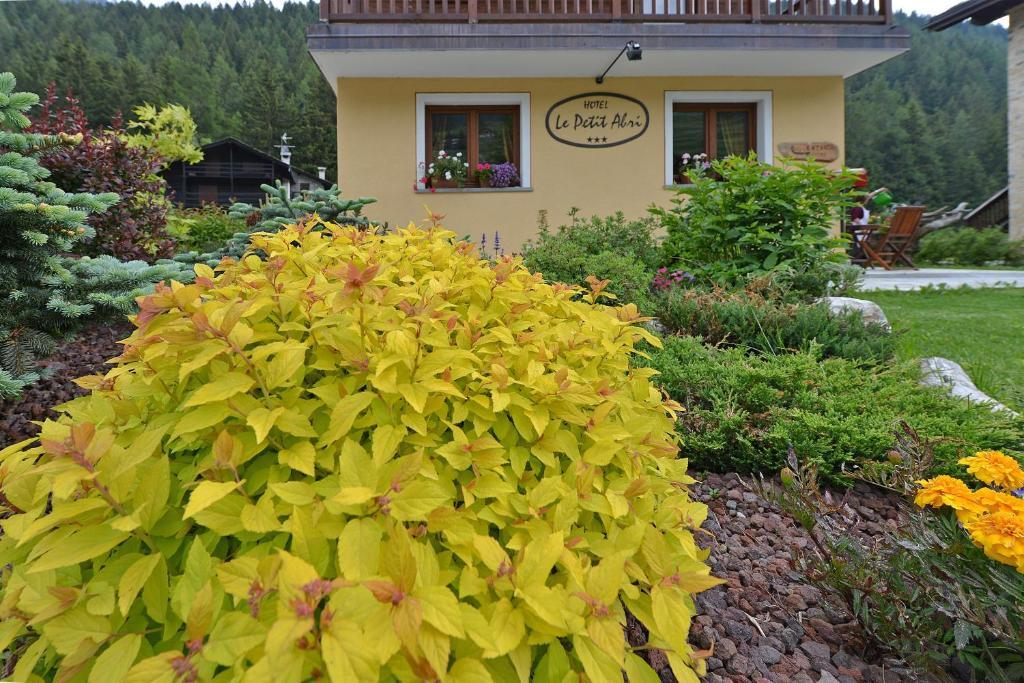 Hotel Le Petit Abri Champoluc Eksteriør bilde