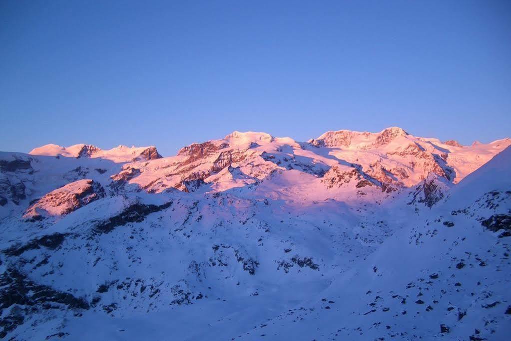 Hotel Le Petit Abri Champoluc Eksteriør bilde