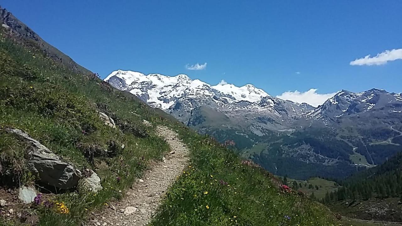 Hotel Le Petit Abri Champoluc Eksteriør bilde